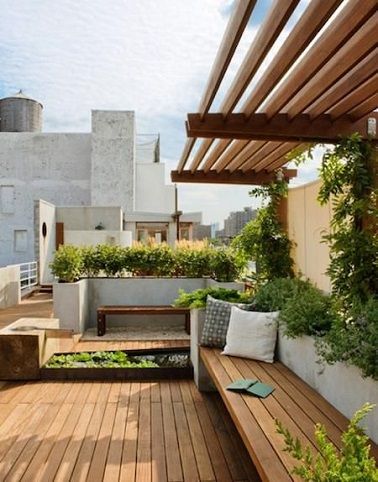 Toit terrasse avec plantes