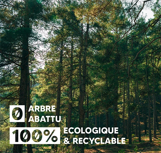 0 arbre abattu, 100% ecologique