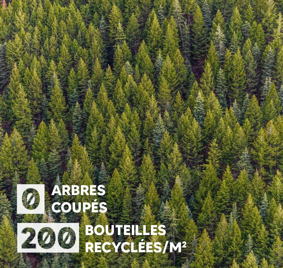 Forêt via Pinterest